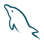 MySQL MySQL