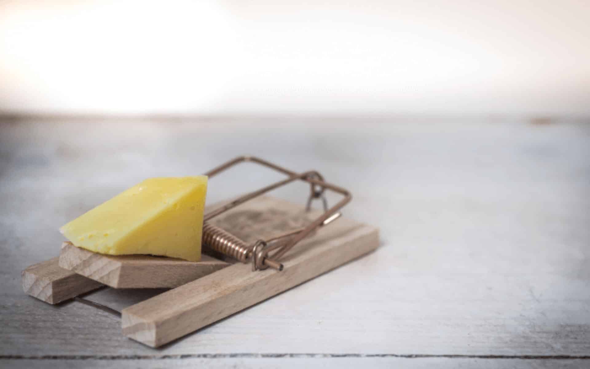 Software Maintenance and the Replacement Trap